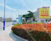 山东临沂东兴路与金一路交汇处大牌广告